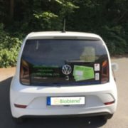 Biobiene im Elektroauto