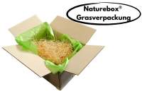 Umweltfreundliches-Verpackungsmaterial-Naturebox®-Graskarton-Typ-1